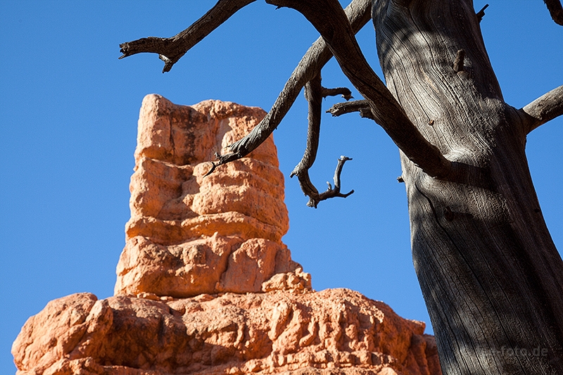 Farben und Formenspiel